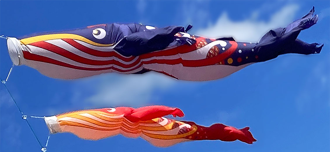 ����ζ��˱ˤ�