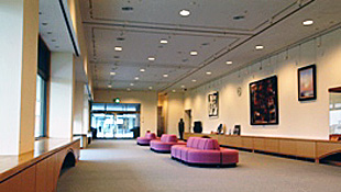 �ۥ磻���ʥ����꡼��