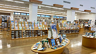 ���ڸ��޽��