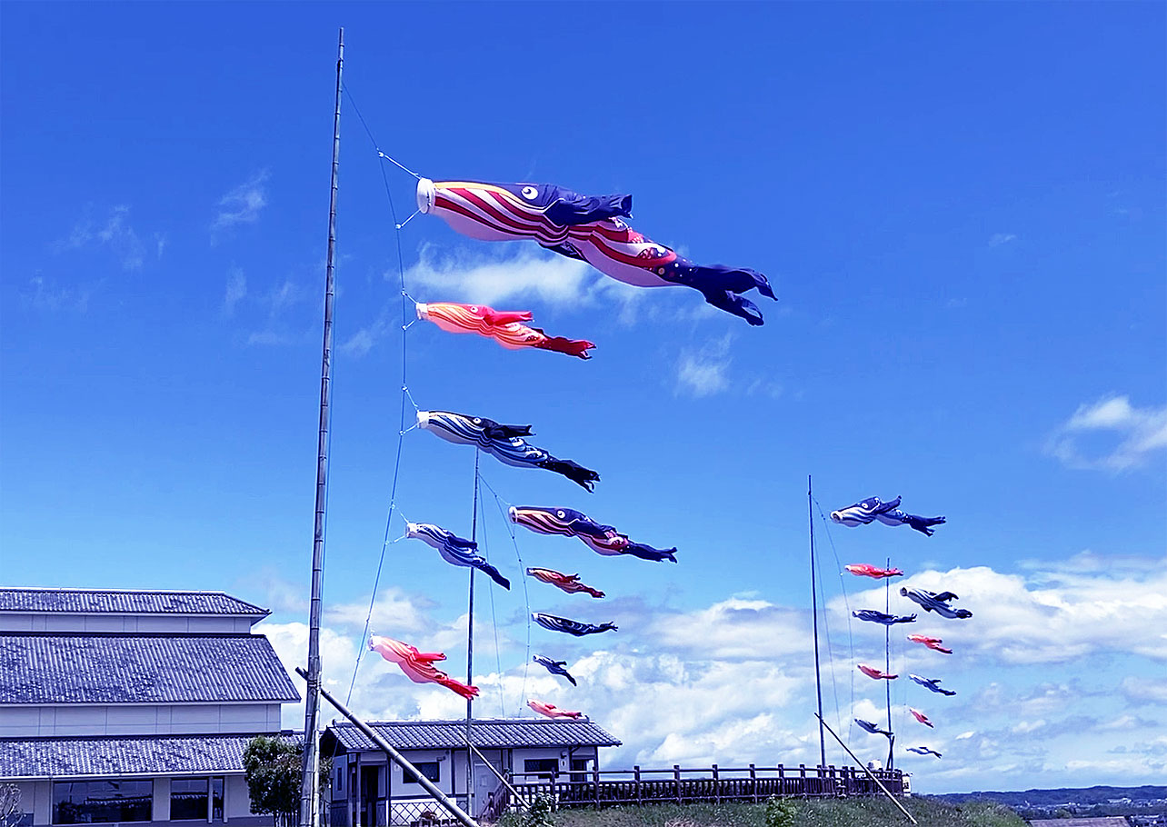 ����ζ��˱ˤ��֤�����Τܤ��