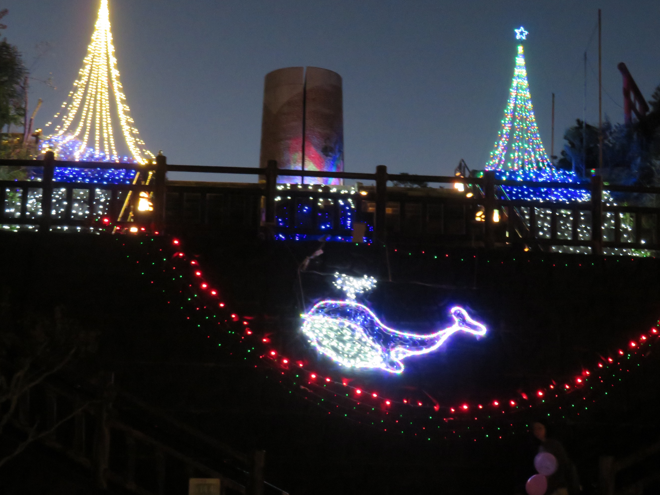 ����ߥ͡������̿���